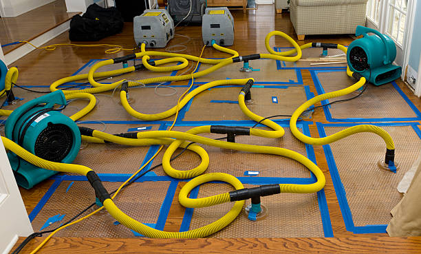 Professional Water Extraction technician working in Bridgeport, OH